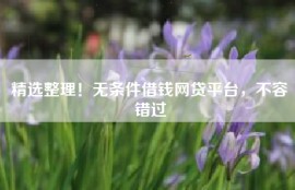 精选整理！无条件借钱网贷平台，不容错过
