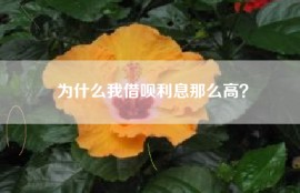 为什么我借呗利息那么高？