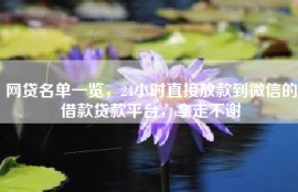网贷名单一览，24小时直接放款到微信的借款贷款平台，拿走不谢