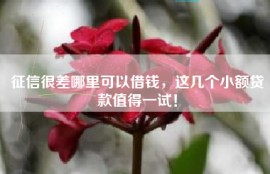 征信很差哪里可以借钱，这几个小额贷款值得一试！