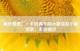 精选整理！一千到两千的小额贷款小额贷款，不容错过