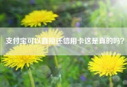 支付宝可以直接还信用卡这是真的吗？