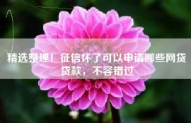 精选整理！征信坏了可以申请哪些网贷贷款，不容错过