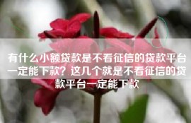 有什么小额贷款是不看征信的贷款平台一定能下款？这几个就是不看征信的贷款平台一定能下款