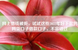 网上借钱被拒，试试这些2022年好下款的网贷口子借款口子，不容错过
