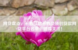 网贷盘点，不看征信不看负债的贷款网贷平台名单，值得关注！