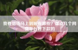 我要借钱马上到账有哪些？盘点几个网贷平台好下款的