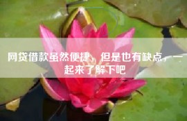 网贷借款虽然便捷，但是也有缺点，一起来了解下吧