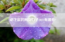 必下款的网贷口子2022有哪些?
