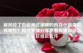 被风控了也能通过审核的网贷小额贷款有哪些？精选整理分享不看负债和征信的贷款借款软件