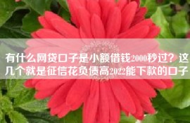 有什么网贷口子是小额借钱2000秒过？这几个就是征信花负债高2022能下款的口子