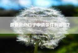 最新黑户口子申请条件有哪些？