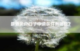 最新黑户口子申请条件有哪些？