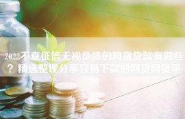 2022不查征信无视负债的网贷贷款有哪些？精选整理分享容易下款的网贷网贷平台