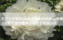 不看征信借款5000马上到账的网贷app有哪些？精选整理分享几个网贷口子