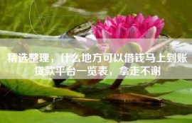 精选整理，什么地方可以借钱马上到账贷款平台一览表，拿走不谢