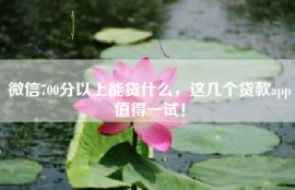 微信700分以上能贷什么，这几个贷款app值得一试！