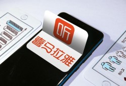 喜马拉雅发力金融：小通喜花花是否生不逢时？