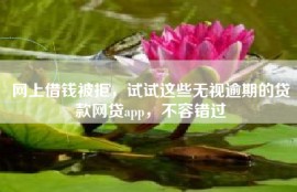 网上借钱被拒，试试这些无视逾期的贷款网贷app，不容错过