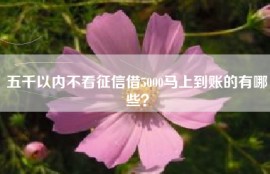五千以内不看征信借5000马上到账的有哪些？
