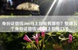 身份证借钱5000马上到账有哪些？整理五个身份证借钱5000马上到账口子