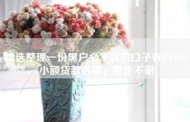 精选整理一份黑户必下款的口子有吗2022小额贷款名单，拿走不谢