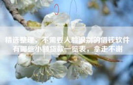 精选整理，不需要人脸识别的借钱软件有哪些小额贷款一览表，拿走不谢