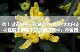 网上借钱被拒，试试这些2022无视黑白无视征信申请就下款的借款软件，不容错过
