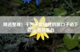 精选整理！千万不能错过的黑口子必下款app借款平台