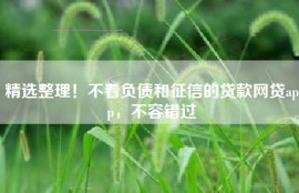 精选整理！不看负债和征信的贷款网贷app，不容错过