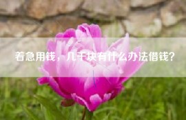 着急用钱，几千块有什么办法借钱？