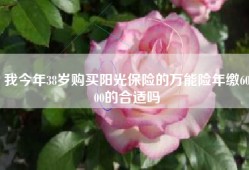 我今年38岁购买阳光保险的万能险年缴6000的合适吗
