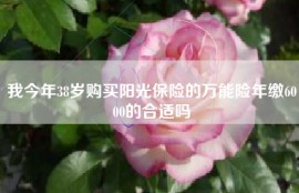 我今年38岁购买阳光保险的万能险年缴6000的合适吗