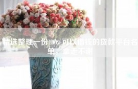 精选整理一份100%可以借钱的贷款平台名单，拿走不谢