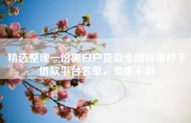 精选整理一份黑白户贷款全国接单秒下借款平台名单，拿走不谢