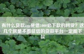 有什么贷款app是借1000必下款的网贷？这几个就是不看征信的贷款平台一定能下款