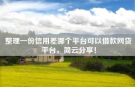 整理一份信用差哪个平台可以借款网贷平台，简云分享！