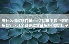 有什么借款软件是2022免审核不看征信的贷款？这几个就是驾驶证贷5000微信口子