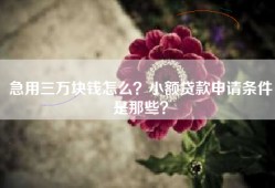 急用三万块钱怎么？小额贷款申请条件是那些？