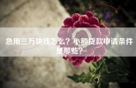 急用三万块钱怎么？小额贷款申请条件是那些？