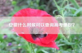 安徽什么时候可以查询高考录取？