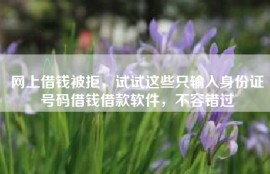 网上借钱被拒，试试这些只输入身份证号码借钱借款软件，不容错过