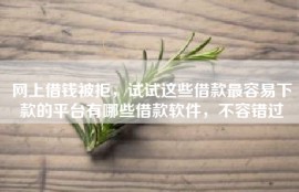 网上借钱被拒，试试这些借款最容易下款的平台有哪些借款软件，不容错过