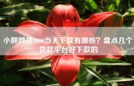 小额网贷3000当天下款有哪些？盘点几个贷款平台好下款的