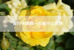 银行卡限额一万是什么意思