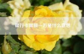 银行卡限额一万是什么意思