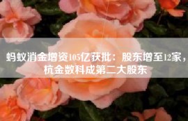 蚂蚁消金增资105亿获批：股东增至12家，杭金数科成第二大股东