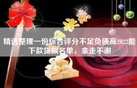 精选整理一份综合评分不足负债高2022能下款贷款名单，拿走不谢