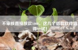 不审核直接放款1000，这几个借款软件值得一试！