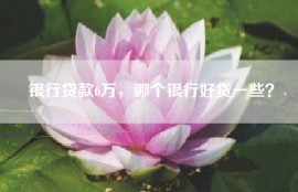 银行贷款6万，哪个银行好贷一些？